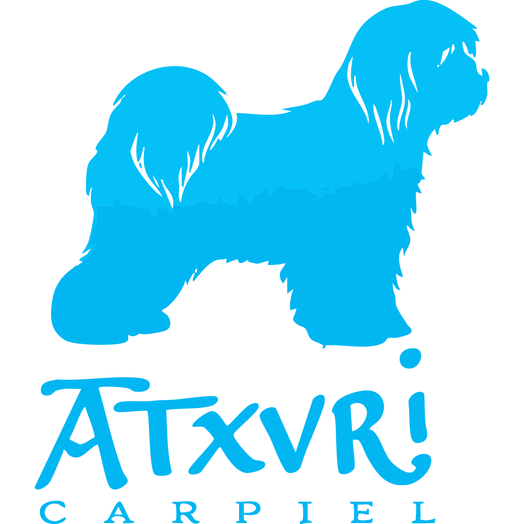 atxuricarpiel202601_logo_web